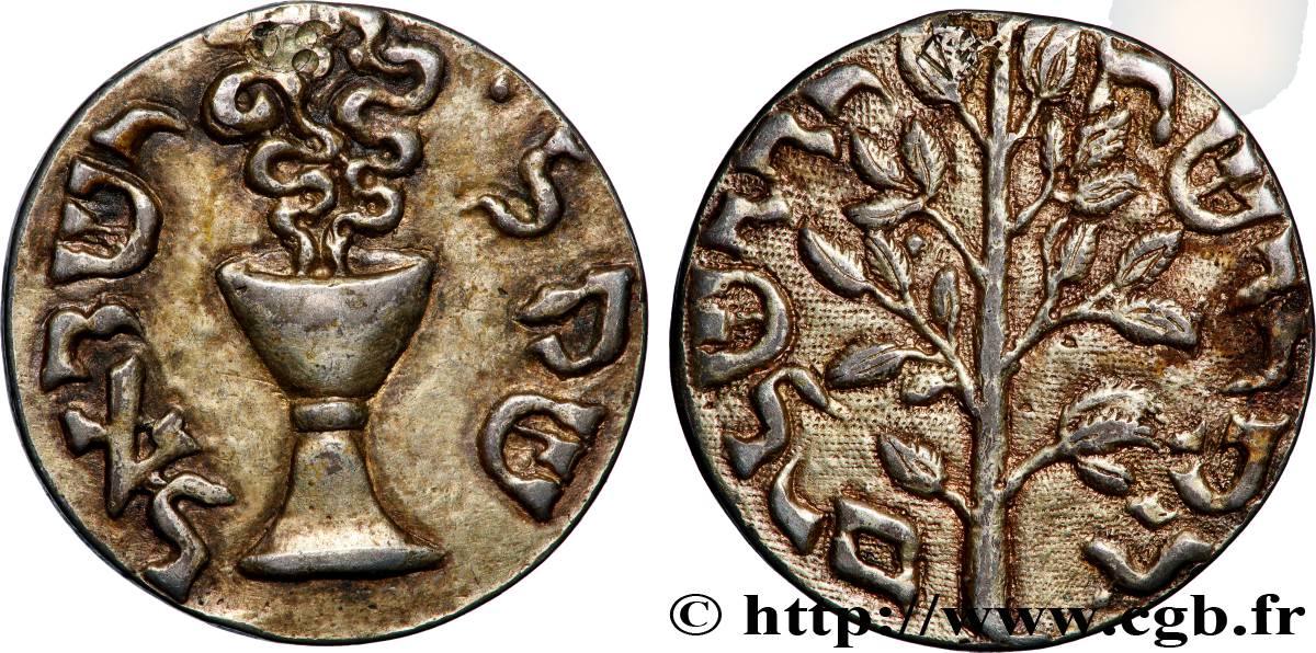 ISRAËL Médaille “Faux Shekel” juif copiant celui de Jérusalem TTB