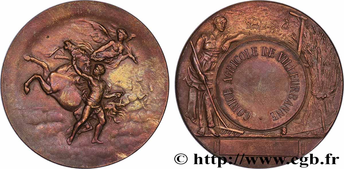 SOCIÉTÉS D&nbsp;AGRICULTURE, HORTICULTURE, PÊCHE ET CHASSE Médaille, Comice agricole  TTB