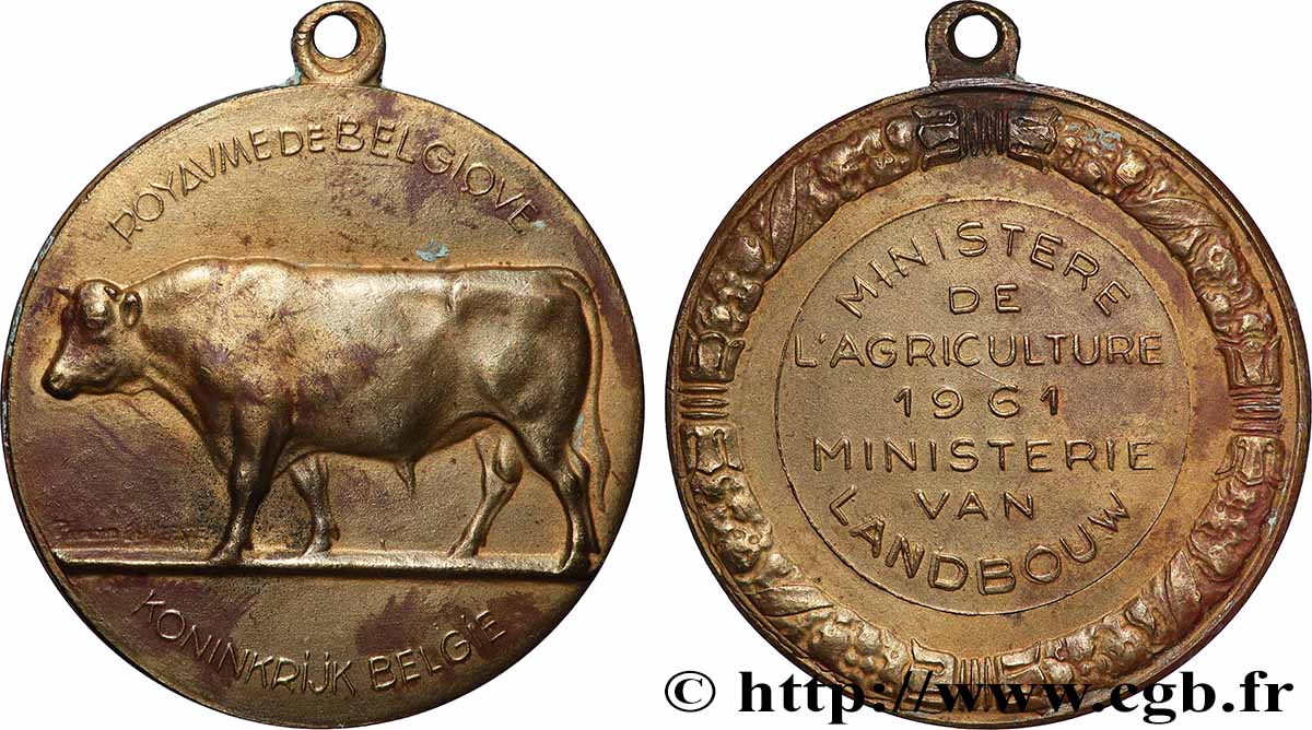 BELGIQUE - ROYAUME DE BELGIQUE - BAUDOUIN Ier Médaille, Ministère de l’agriculture TTB