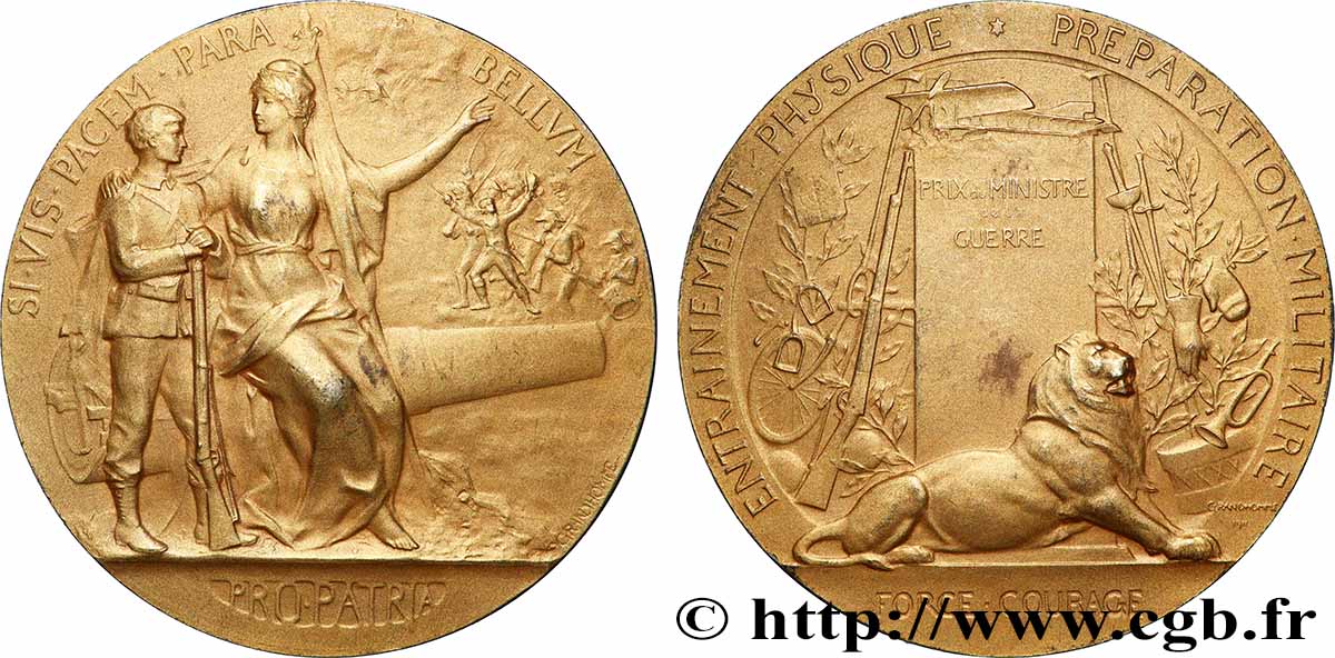 TERZA REPUBBLICA FRANCESE Médaille PRO PATRIA - Préparation militaire q.SPL