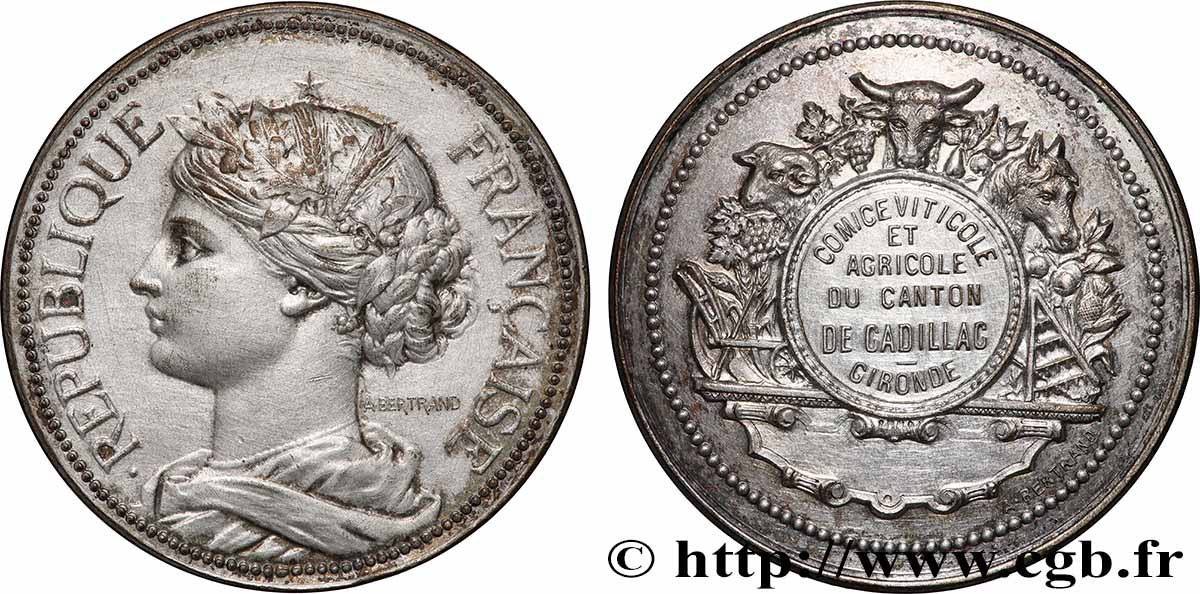 SOCIÉTÉS D&nbsp;AGRICULTURE, HORTICULTURE, PÊCHE ET CHASSE Médaille, Comice viticole et agricole  TTB+