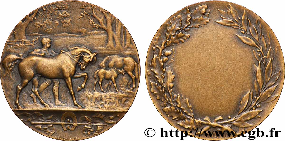 TERZA REPUBBLICA FRANCESE Médaille de Maréchal Ferrand q.SPL