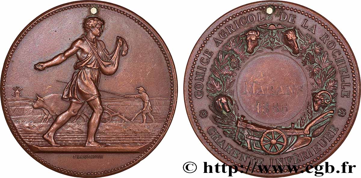 TROISIÈME RÉPUBLIQUE Médaille, Comice agricole TTB