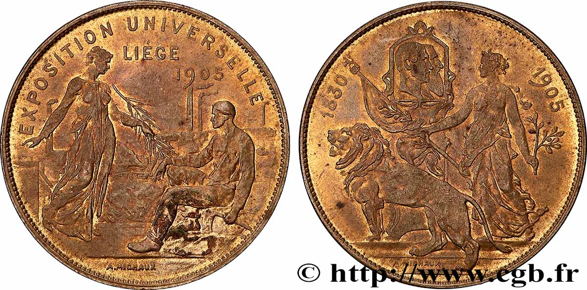 BELGIQUE - ROYAUME DE BELGIQUE - LÉOPOLD II Médaille, Exposition universelle de Liège TTB