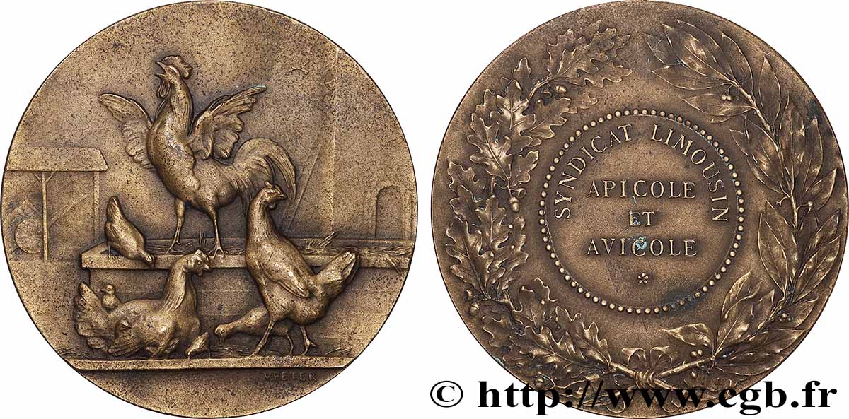 SOCIÉTÉS D&nbsp;AGRICULTURE, HORTICULTURE, PÊCHE ET CHASSE Médaille, Syndicat limousin, apicole et avicole TTB+