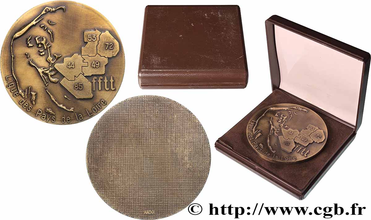 CONSEIL GÉNÉRAL, DÉPARTEMENTAL OU MUNICIPAL - CONSEILLERS Médaille, Ligue des pays de la Loire VZ