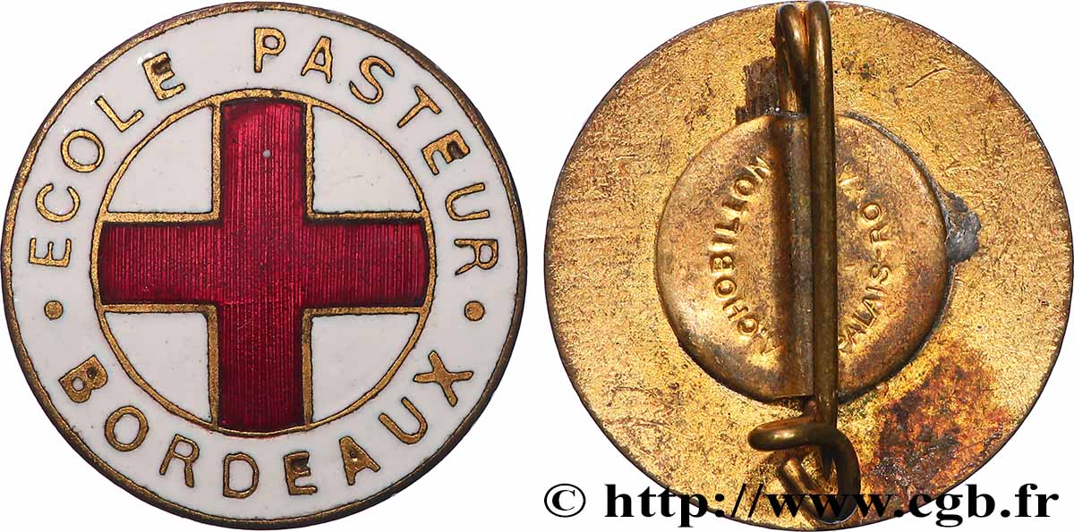 MÉDECINE - SOCIÉTÉS MÉDICALES - MÉDECINS/CHIRURGIENS - ASSISTANCE PUBLIQUE Insigne, École Pasteur TTB+