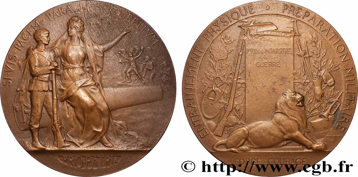 TROISIÈME RÉPUBLIQUE Médaille PRO PATRIA - Préparation militaire TTB+