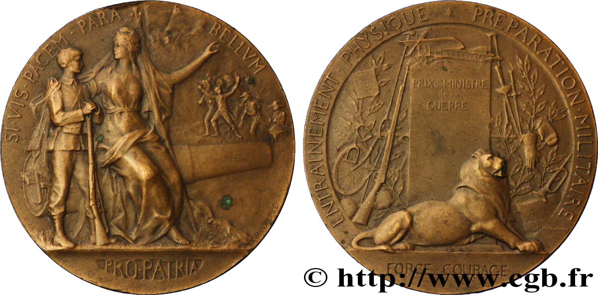 DRITTE FRANZOSISCHE REPUBLIK Médaille PRO PATRIA - Préparation militaire SS