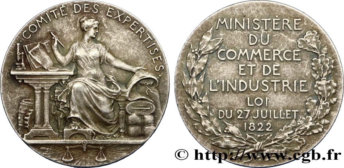 DRITTE FRANZOSISCHE REPUBLIK Médaille, Comité des expertises SS