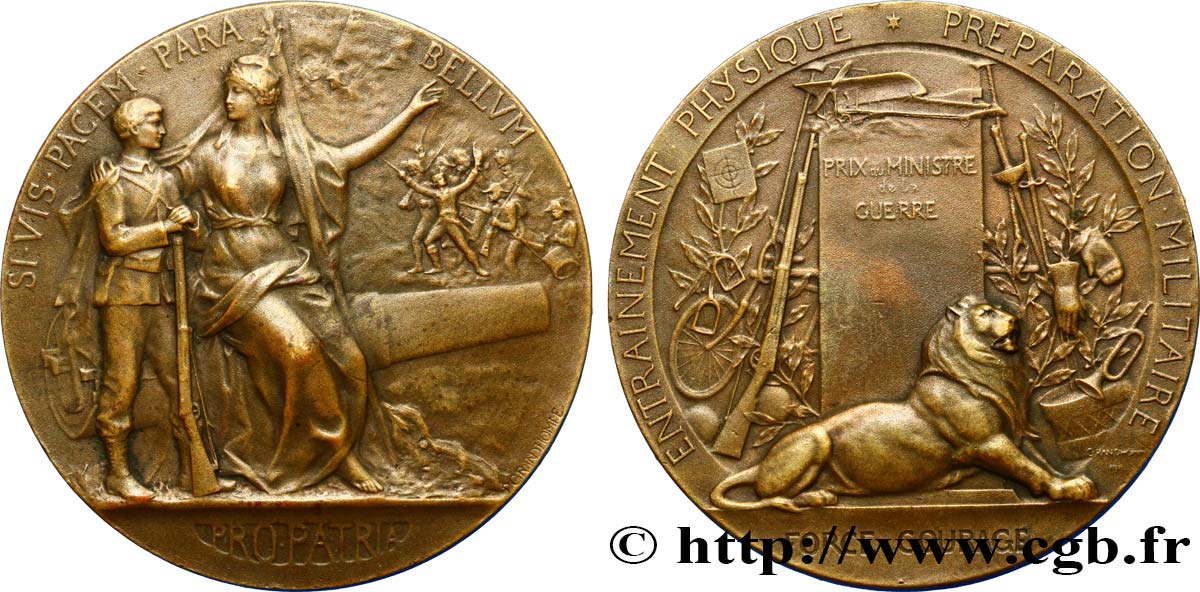 TROISIÈME RÉPUBLIQUE Médaille PRO PATRIA - Préparation militaire TTB+