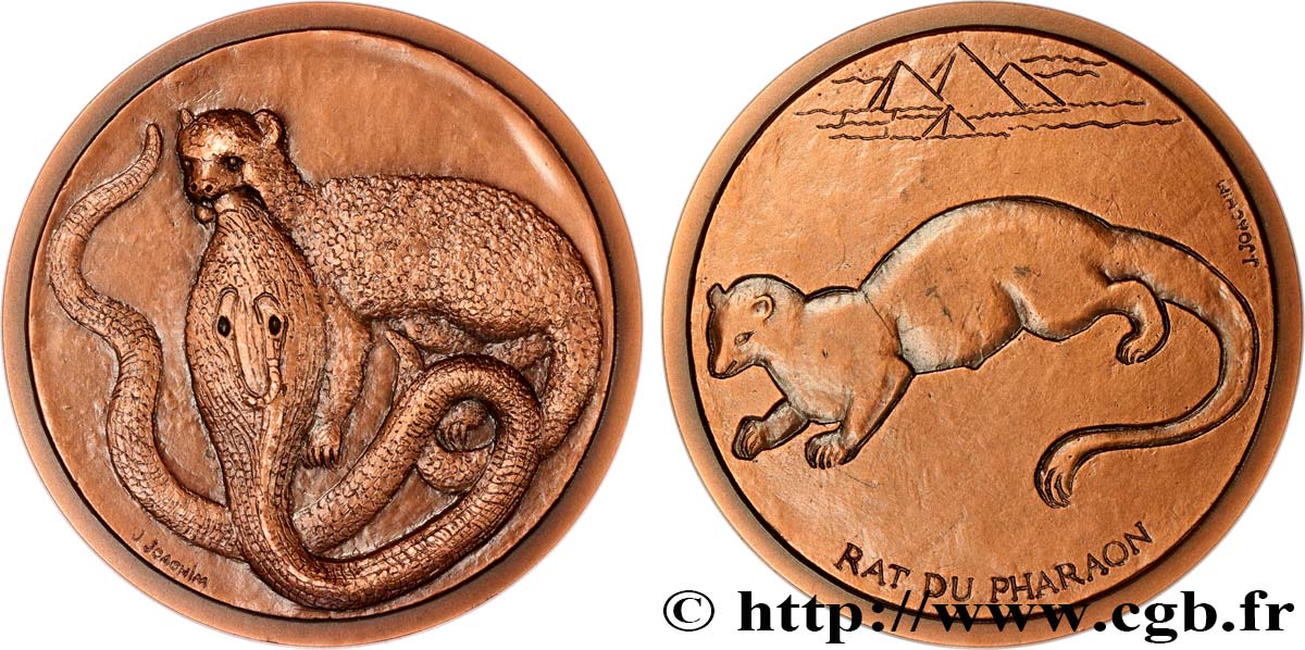 ANIMALS Médaille animalière - Rat du Pharaon AU
