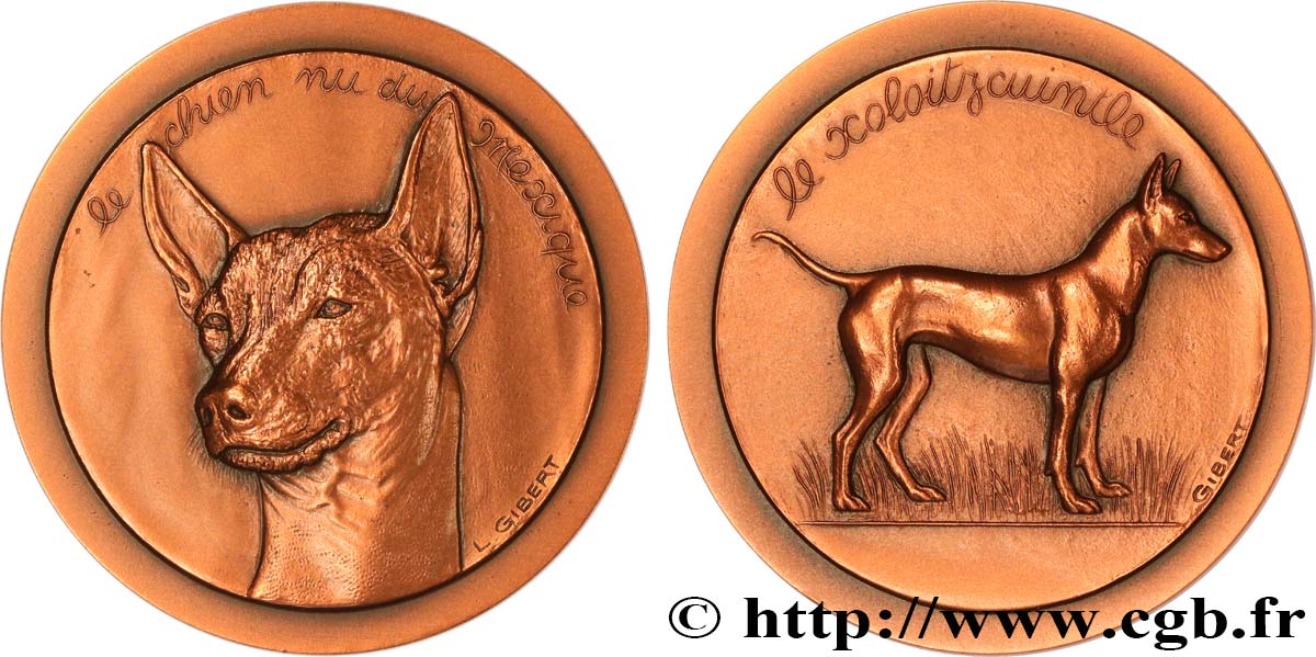 ANIMALS Médaille animalière - Chien du Mexique EBC