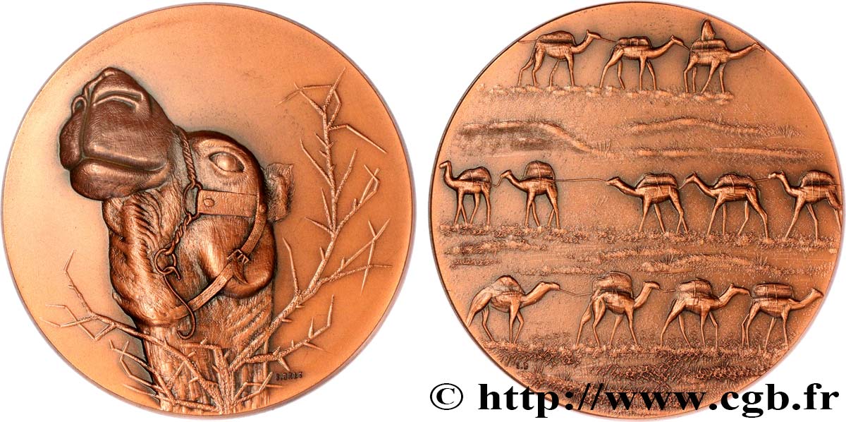 ANIMALS Médaille animalière - Dromadaire AU