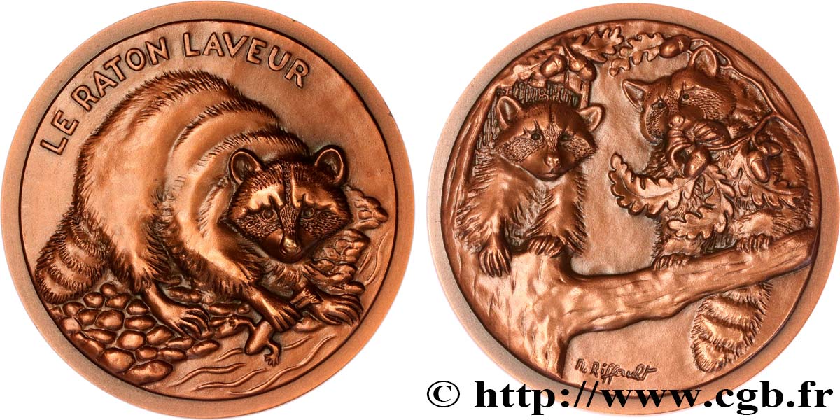 ANIMAUX Médaille animalière - Raton Laveur SUP