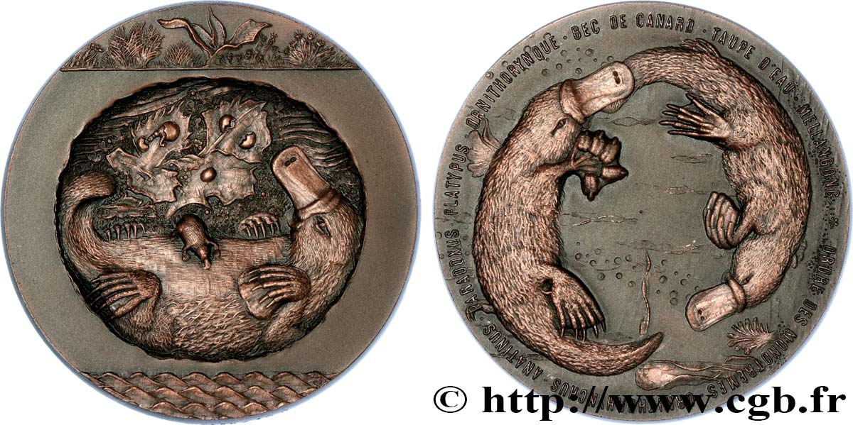 ANIMALS Médaille animalière - Ornithorynque AU
