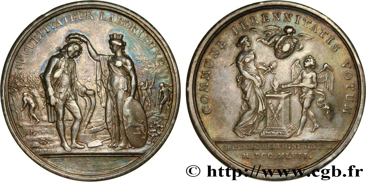 NORMANDY (GENTRY AND TOWNS OF...) Médaille, rosières de Canon, Mézidon et Vieux Fumé AU