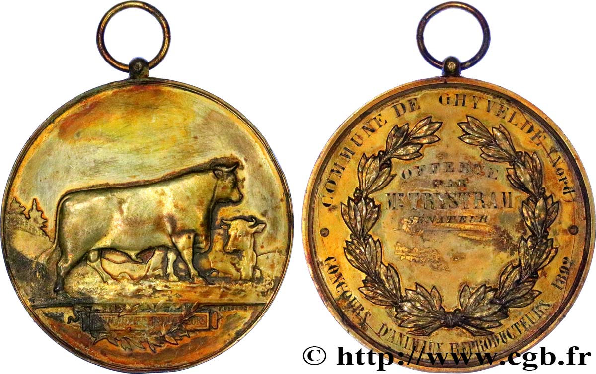 DRITTE FRANZOSISCHE REPUBLIK Médaille agricole SS