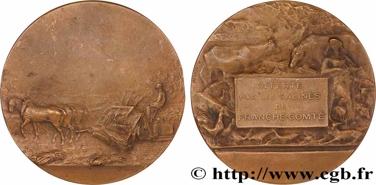 SOCIÉTÉS D AGRICULTURE, HORTICULTURE, PÊCHE ET CHASSE Médaille, offerte par les salines de Franche-Comté TTB
