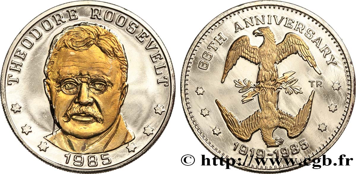 ÉTATS-UNIS D AMÉRIQUE Médaille, Theodore Roosevelt, 66e anniversaire TTB+