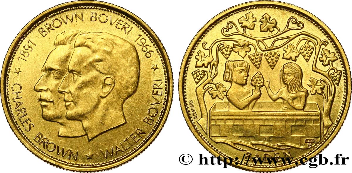 SUISSE - CANTON D ARGOVIE Médaille, Brown Boveri TTB+