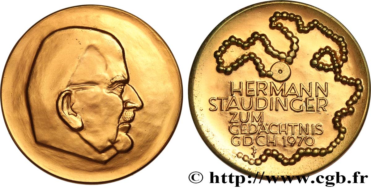 ALLEMAGNE Médaille, Prix Hermann Staudinger SUP