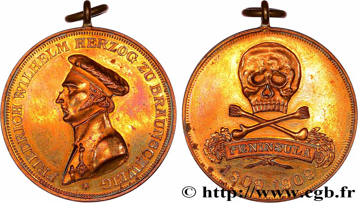 ALLEMAGNE - BRUNSWICK Médaille, Centenaire du Brunswick Hussar, Peninsula TTB