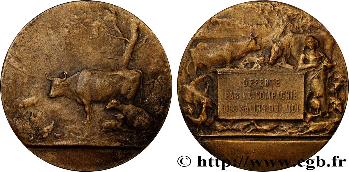 TROISIÈME RÉPUBLIQUE Médaille, Compagnie des salins du midi TTB