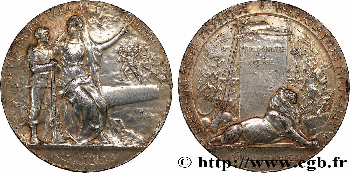 TROISIÈME RÉPUBLIQUE Médaille PRO PATRIA - Préparation militaire TTB