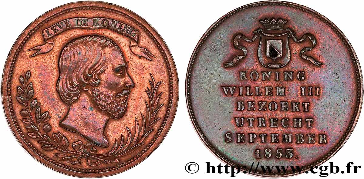 PAYS-BAS - ROYAUME DES PAYS-BAS - GUILLAUME III Médaille, Guillaume III TTB