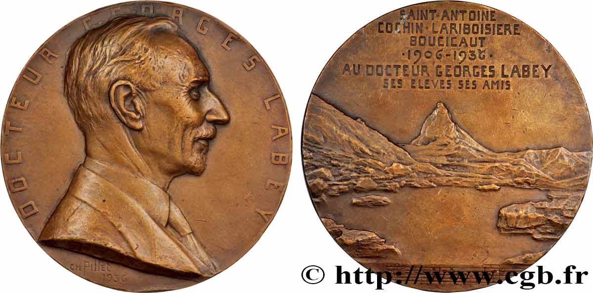 SCIENCE & SCIENTIFIC Médaille, Docteur Georges Labey XF