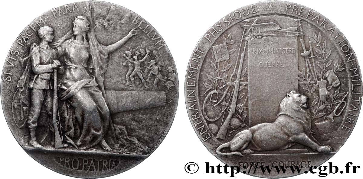 TROISIÈME RÉPUBLIQUE Médaille PRO PATRIA - Préparation militaire TTB