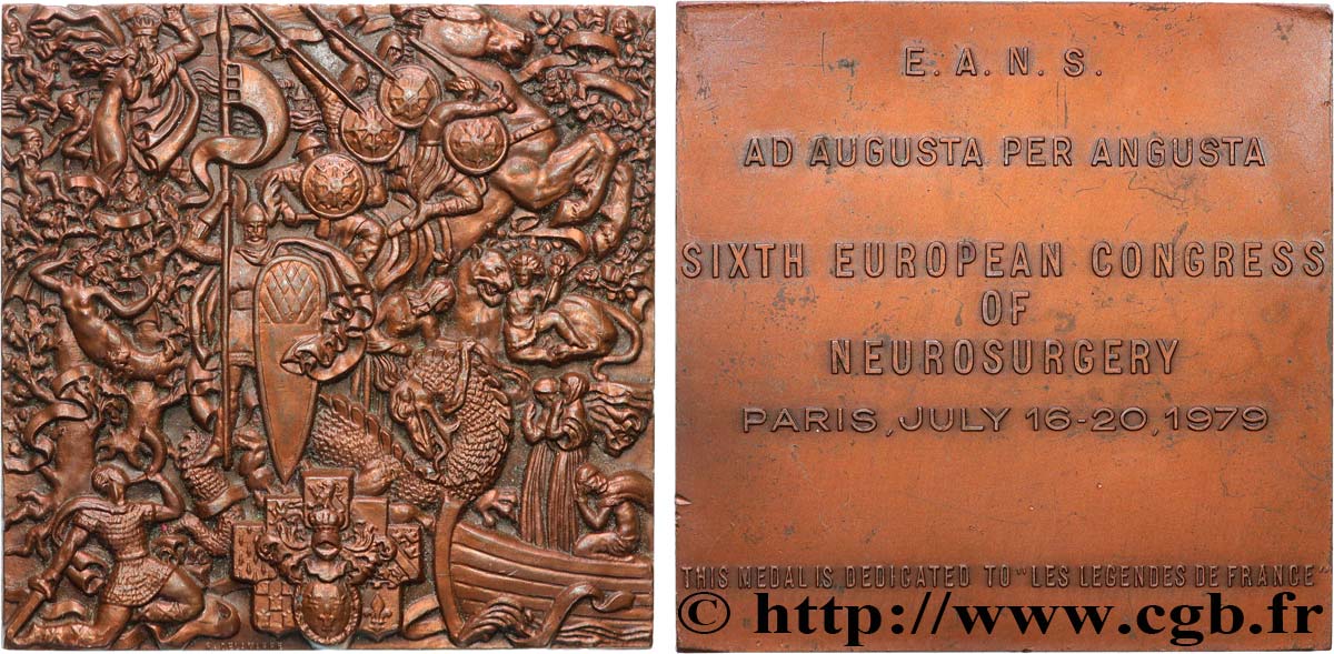 FUNFTE FRANZOSISCHE REPUBLIK Plaque, 6e congrès de neurochirurgie SS