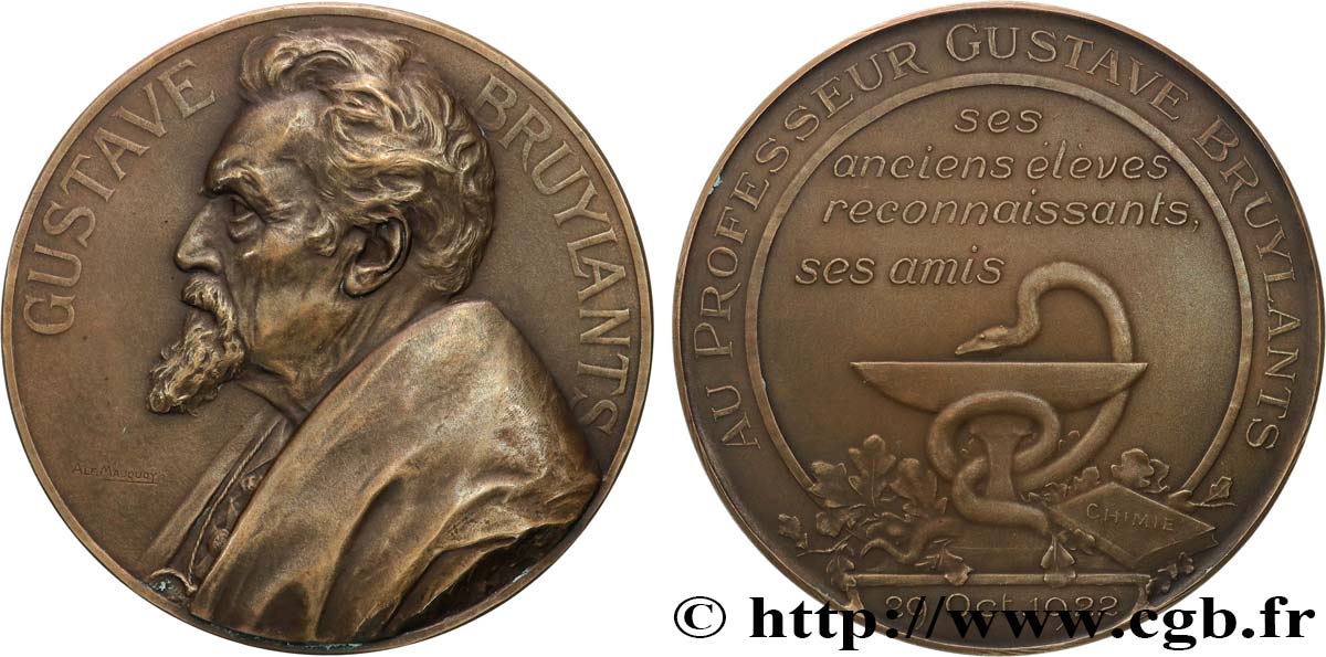 BELGIQUE - ROYAUME DE BELGIQUE - ALBERT Ier Médaille, Au professeur Gustave Bruylants TTB+