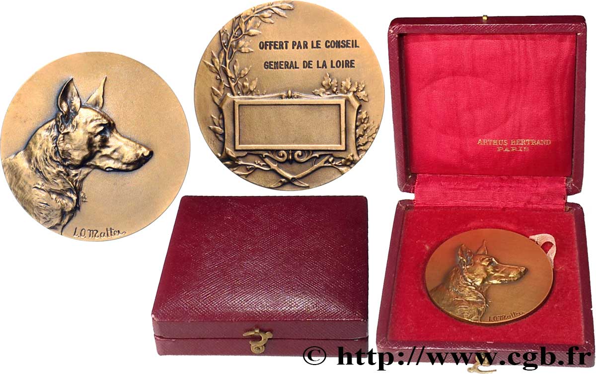 Médaille En Bronze Seine-Saint-Denis (93) - Conseil Général