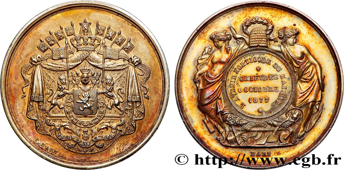 BELGIQUE - ROYAUME DE BELGIQUE - LÉOPOLD II Médaille, L’Avenir horticole du Hainaut AU