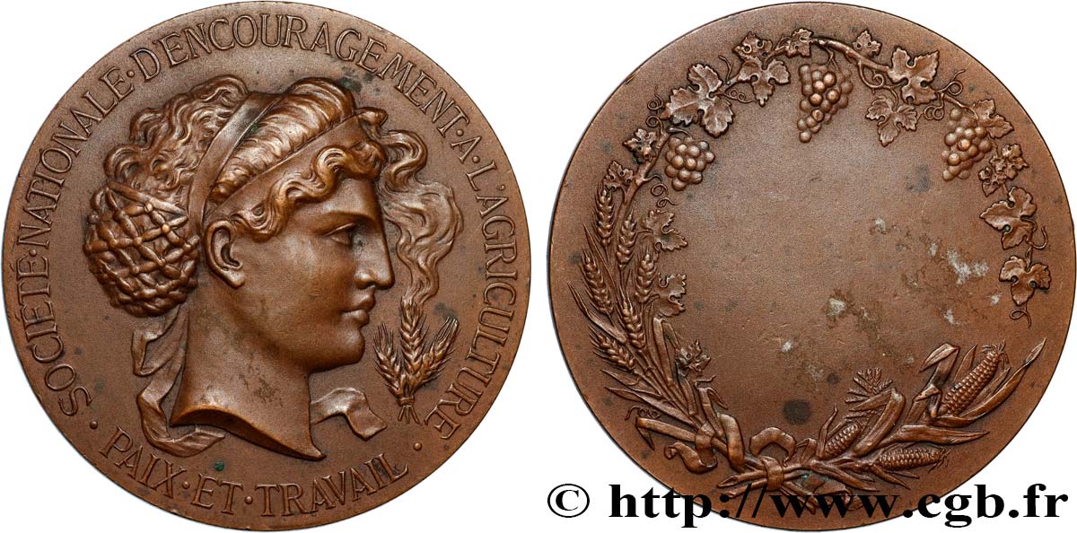 Médaille Société Nationale Des Conférences Populaires 1899 - Bronze - Monnaie De Paris - XIXe