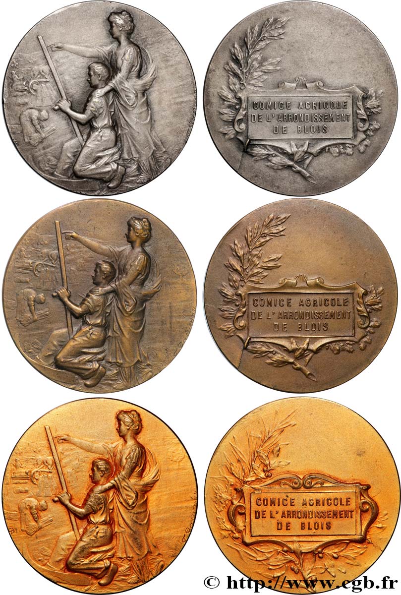 AGRICULTURAL, HORTICULTURAL, FISHING AND HUNTING SOCIETIES Lot de 3 médailles, comice agricole de Blois AU