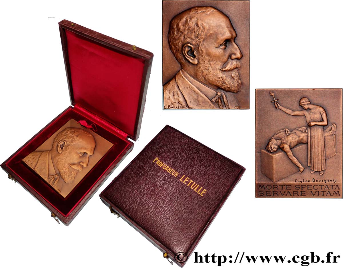 MÉDECINE - SOCIÉTÉS MÉDICALES - MÉDECINS/CHIRURGIENS - ASSISTANCE PUBLIQUE Plaquette, Professeur Letulle SUP