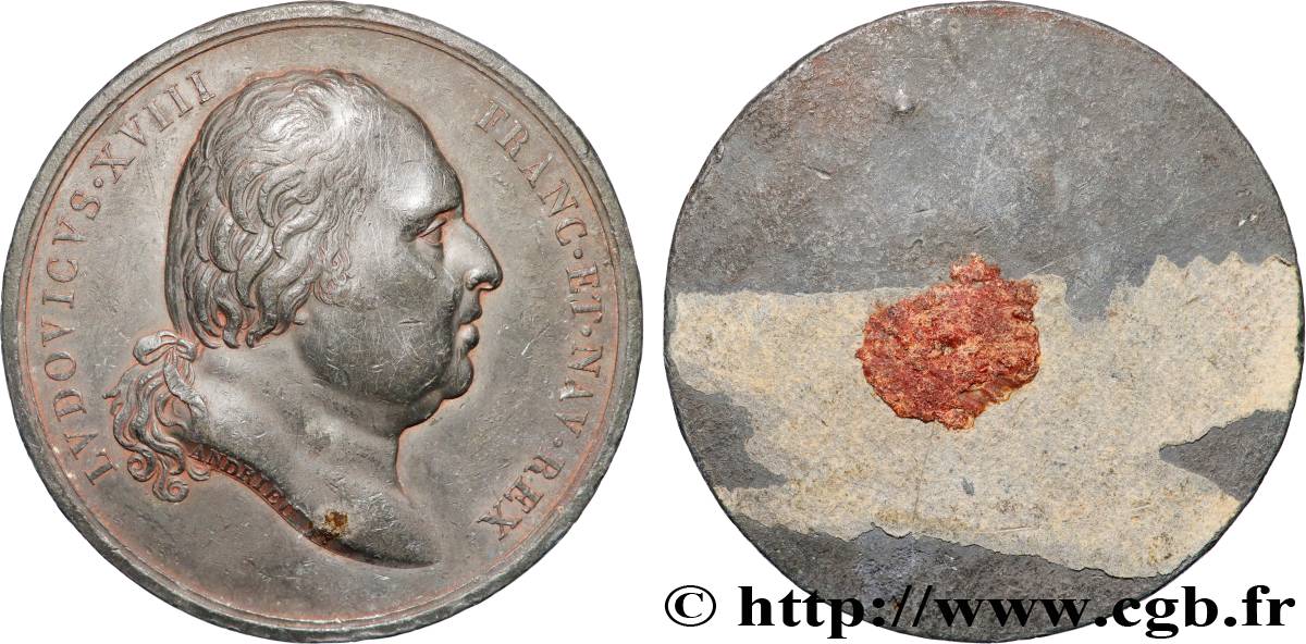 LOUIS XVIII Médaille, tirage uniface, Effigie de Louis XVIII par Andrieu TTB