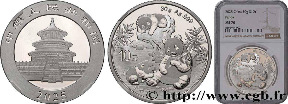 CHINA 10 Yuan Proof Panda 2025  MS70 NGC
