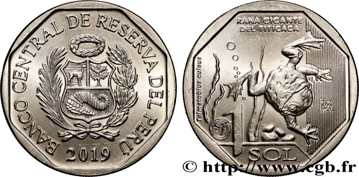 PÉROU 1 Sol Grenouille géante du lac Titicaca 2019 Lima SPL 