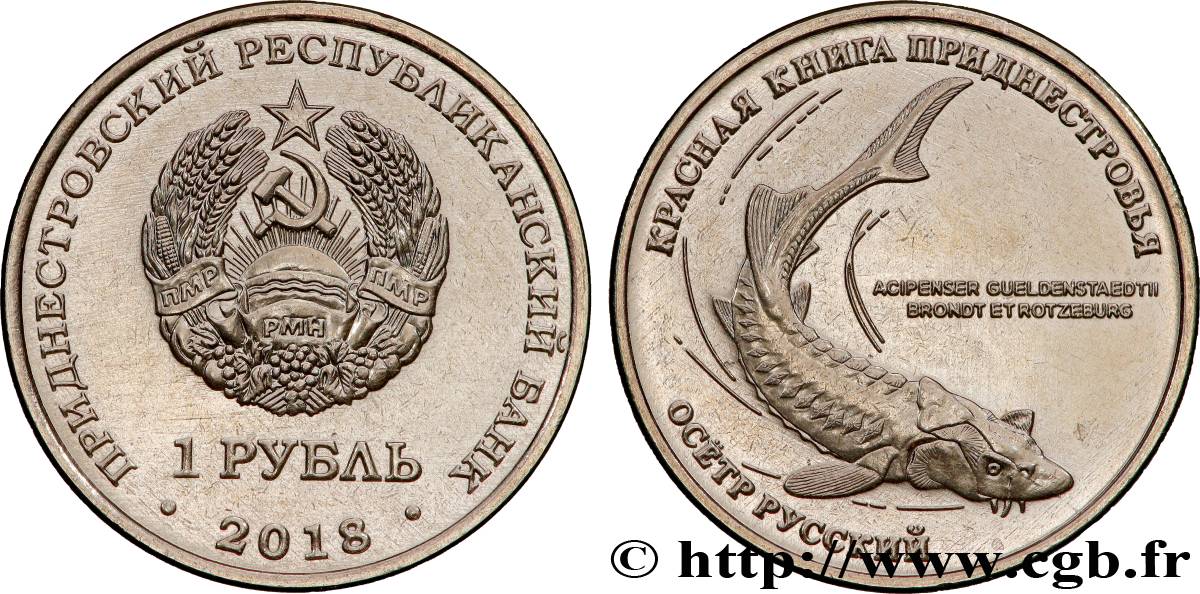 TRANSNISTRIE 1 Rouble Osciètre (esturgeon russe) 2018 Tiraspol SPL 