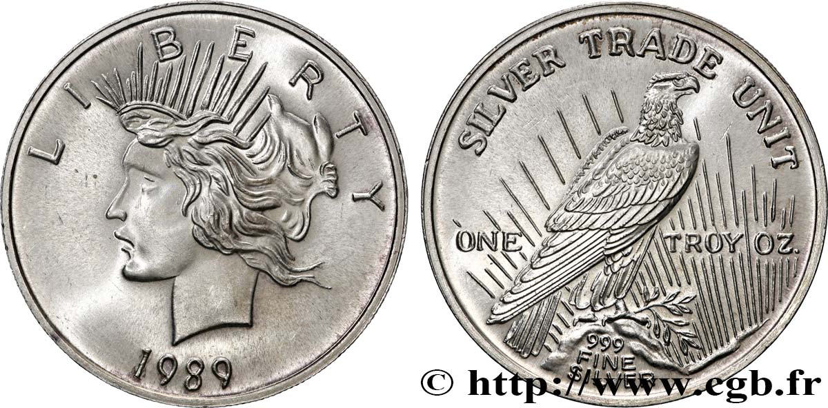 SILVER INVESTMENT 1 Troy Once Dollar Peace 1989  MS 