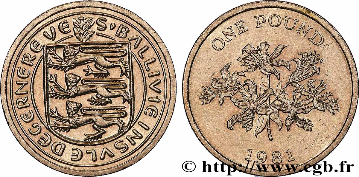 GUERNESEY 1 Pound (Livre) armes / fleur 1981  SPL 