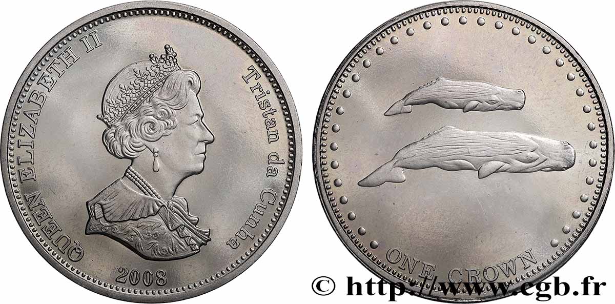 TRISTAN DA CUNHA 1 Crown Elisabeth II  / Baleine 2008  fST 