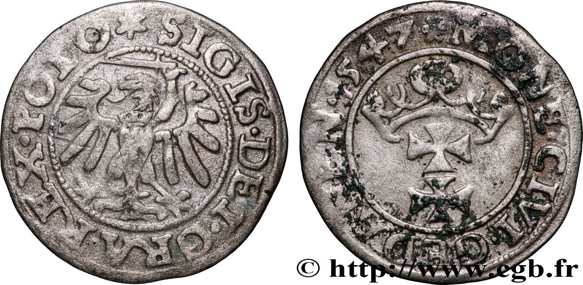 POLOGNE - SIGISMOND Ier LE VIEUX Szeląg gdański  1547  BB 