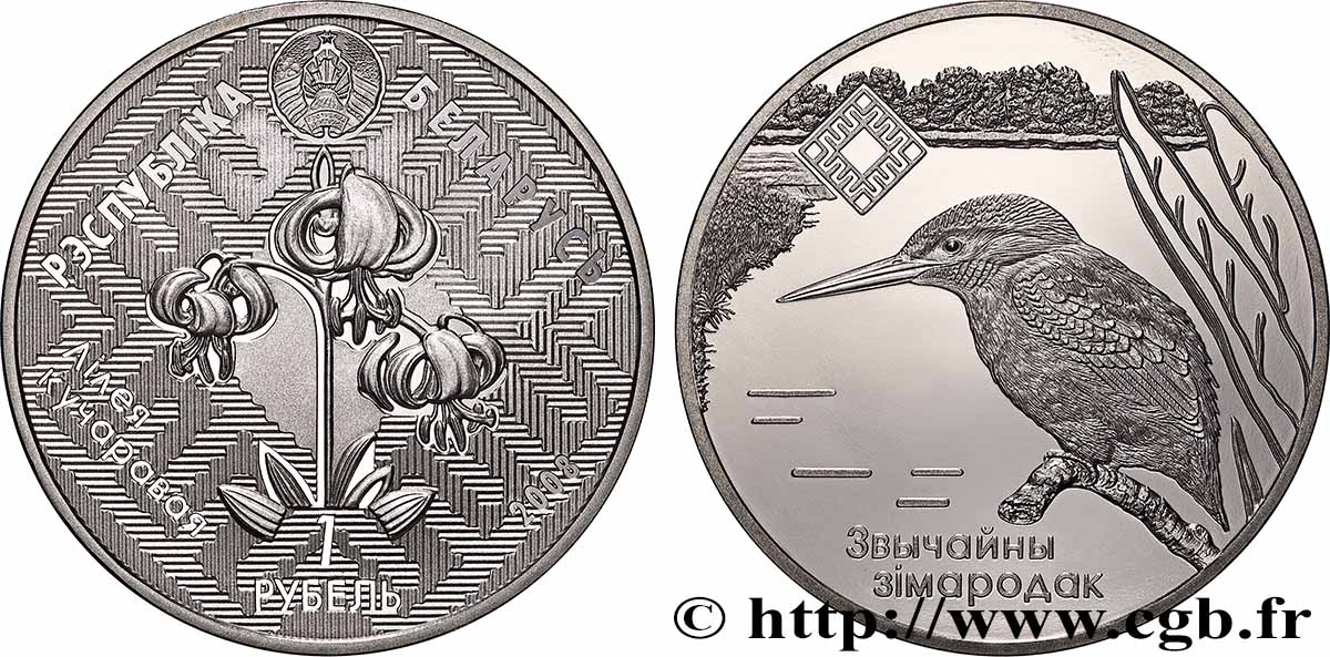 BELARUS 1 Rouble Proof Réserves naturelles de Biélorussie : Lipichanskaya Pushcha / Martin-pêcheur 2008 Oust–Kamenogorsk  MS 