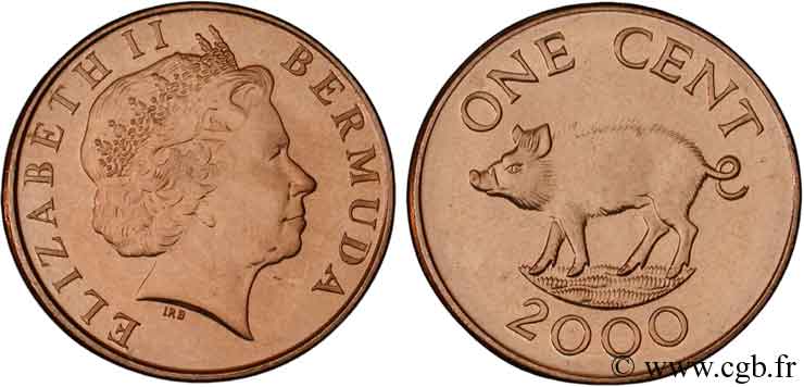 BERMUDA 1 Cent Elisabeth II / sanglier 2000  MS 