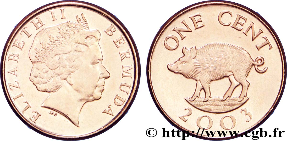 BERMUDA 1 Cent Elisabeth II / sanglier 2003  MS 